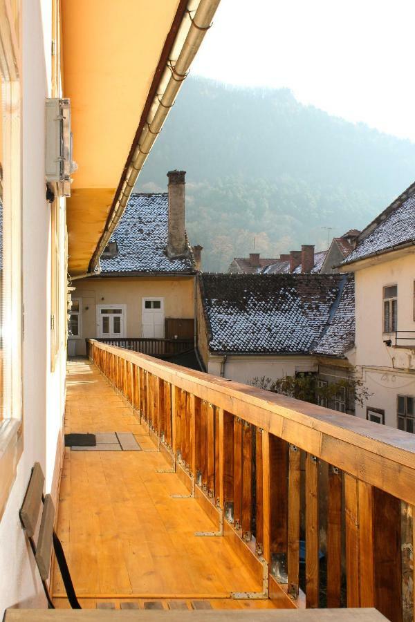 Deer * Brasov